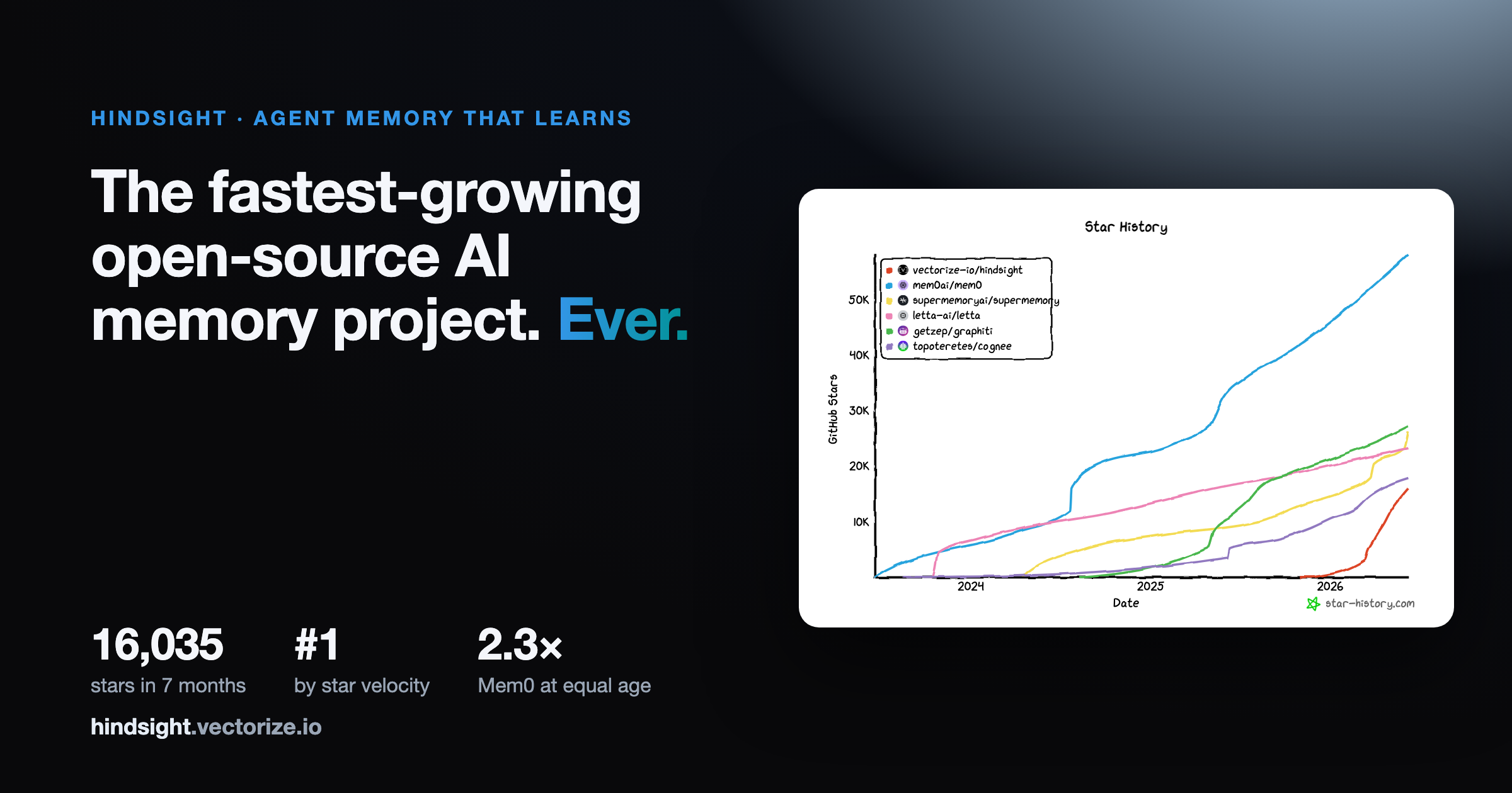 hindsight.vectorize.io image